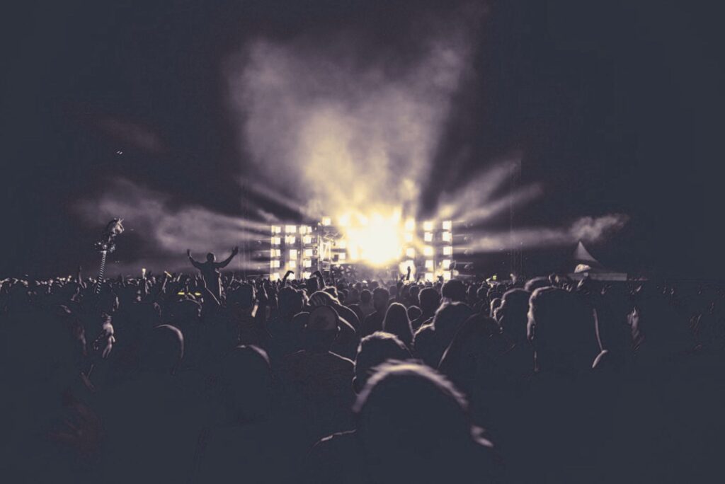 Case Study About Festival Event Security